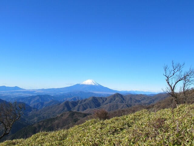 長尾尾根ルートからの富士山景色