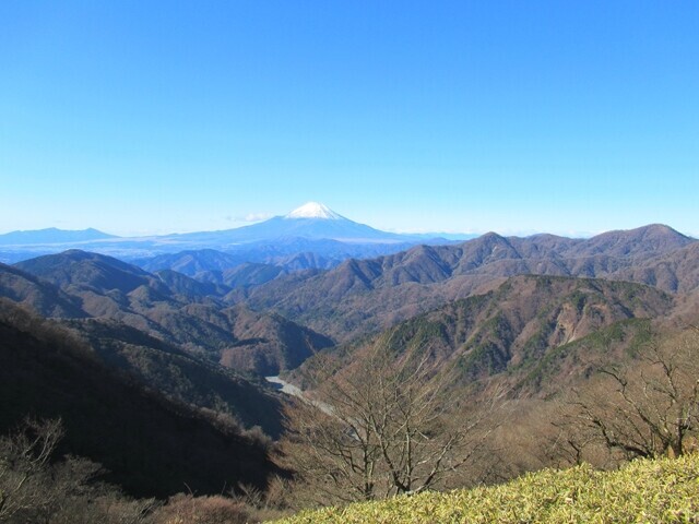 丹沢山富士山の景色