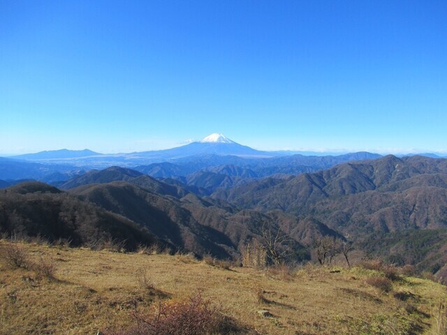 塔ノ岳の山頂から見る富士山の景色