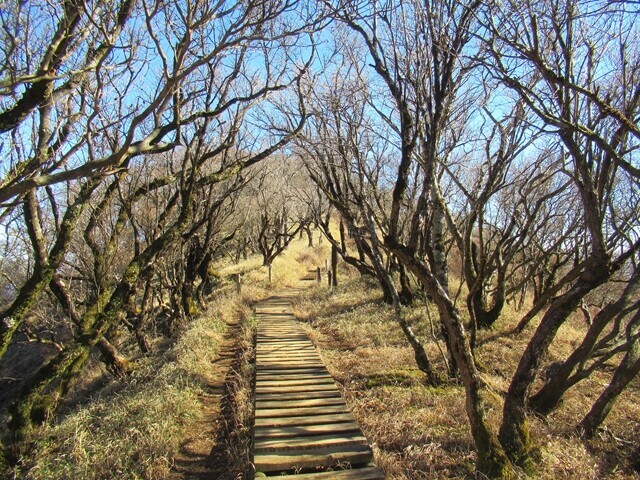 長尾尾根を目指して登山スタートした様子