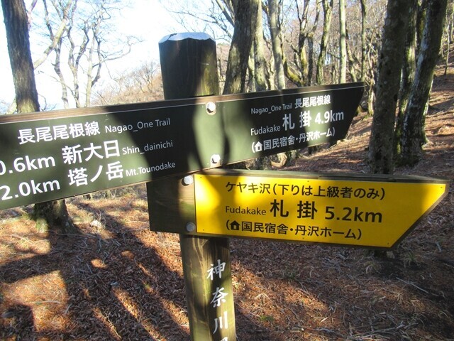 長尾尾根ルートとケヤキ沢ルートの分岐