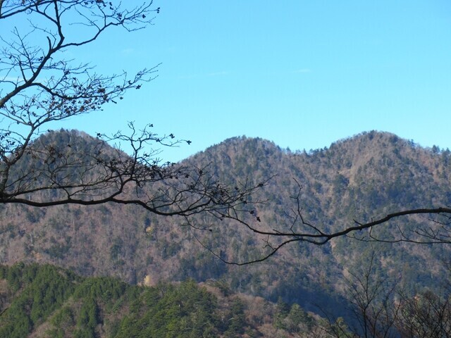 長尾尾根ルートから眺める丹沢三峰