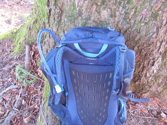 サロモンハイドレーションレビューの様子