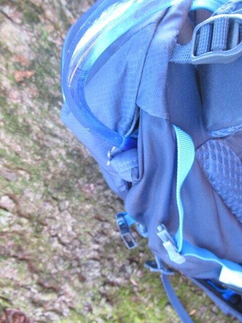 サロモンハイドレーションのホースのレビュー