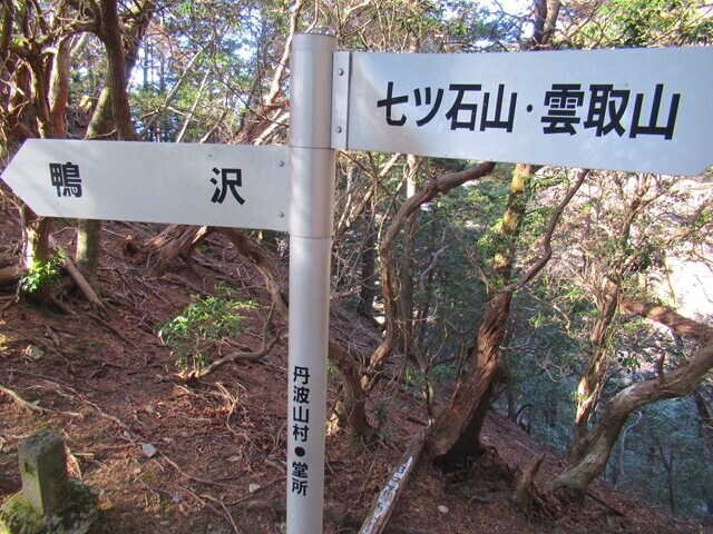 雲取山バリエーションルートの登り尾根入口