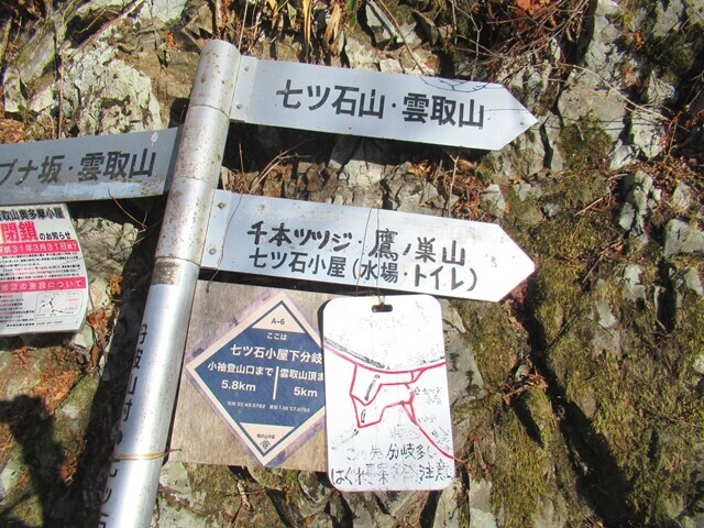 七ツ石小屋と雲取山への分岐