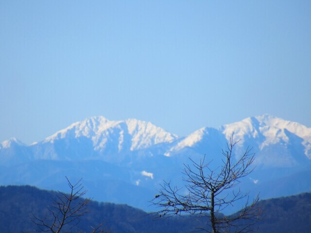 雲取山から南アルプス遠望