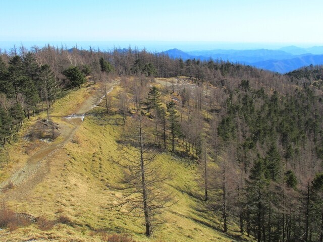 赤指山、雨乞山を目指して登山再開の様子