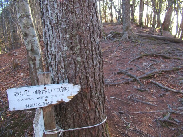 赤指尾根バリエーションルート入口