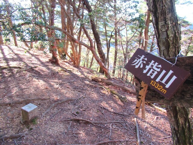 赤指山の山頂
