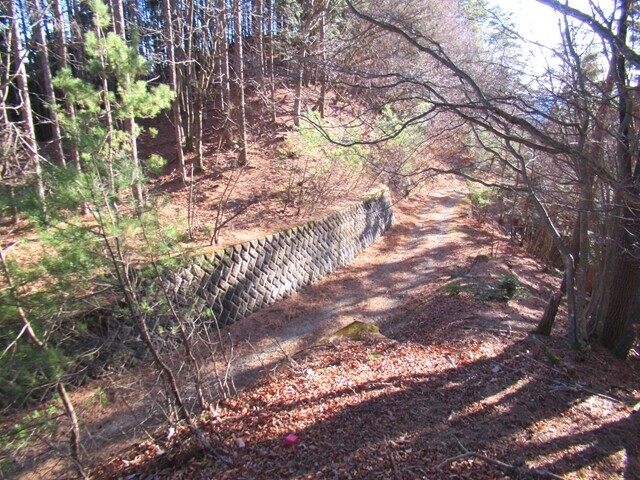 赤指山からバリエーションルートて進んでいくと林道が見えてくる