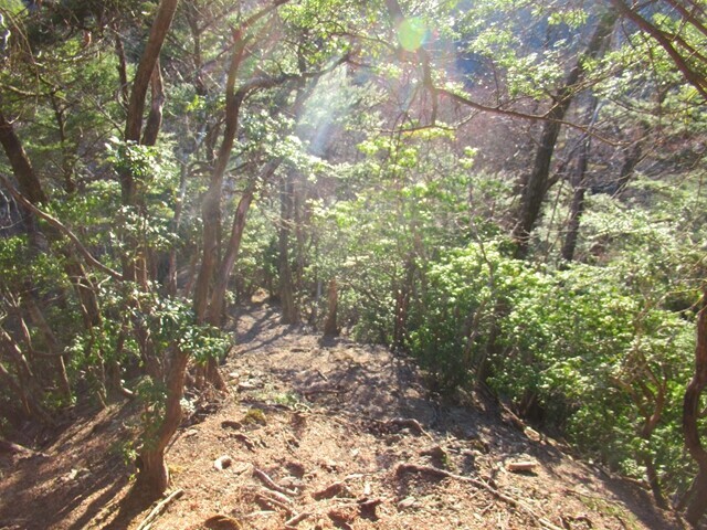 雨乞山南西尾根