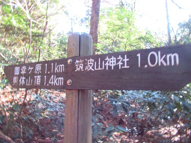 筑波山神社から筑波山山頂（男体山）まで２．４ｋｍの距離