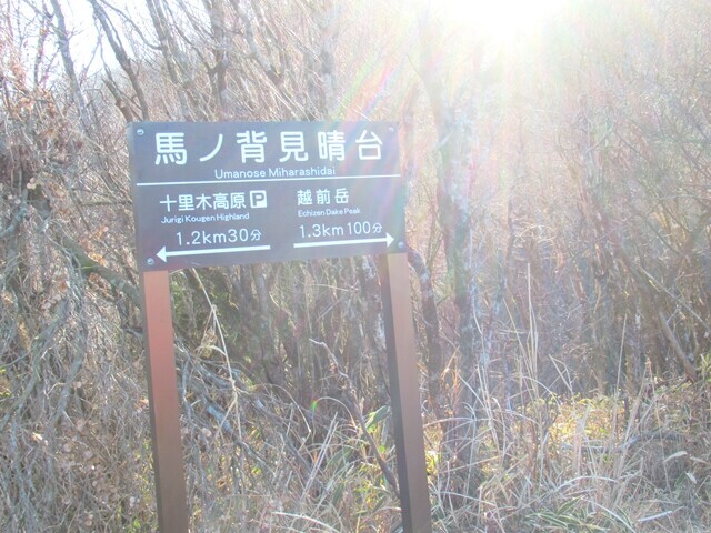 馬ノ背見晴台