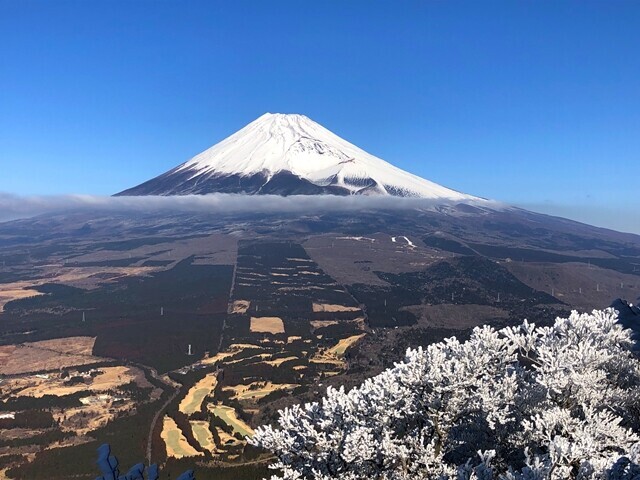 十里木高原と富士山、霧氷の絶景