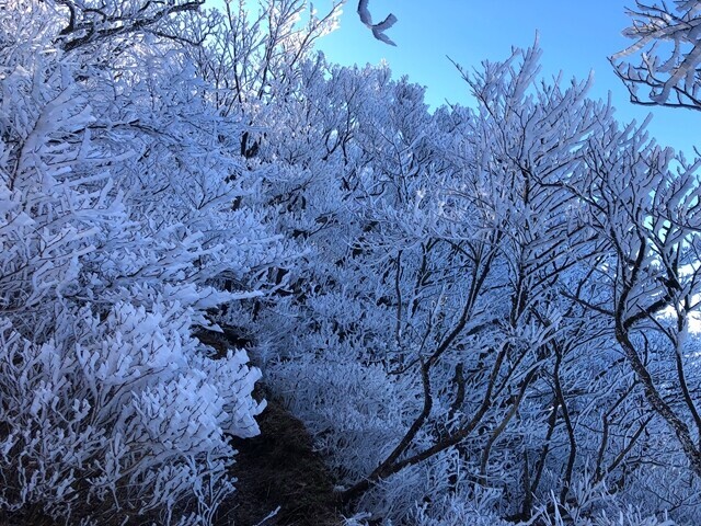 愛鷹山越前岳への登山ルート詳細