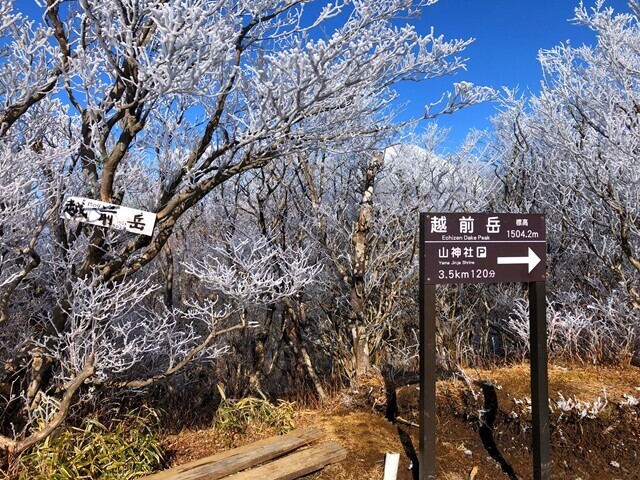 山頂北側にも越前岳の山頂プレートある