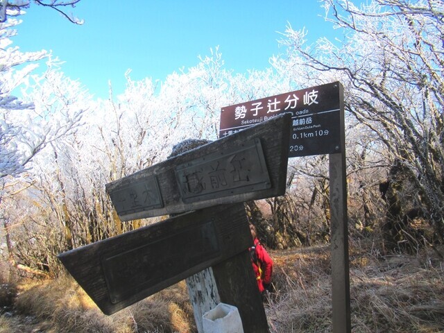 勢子辻分岐から破線ルートで十里木高原駐車場へ下山の様子