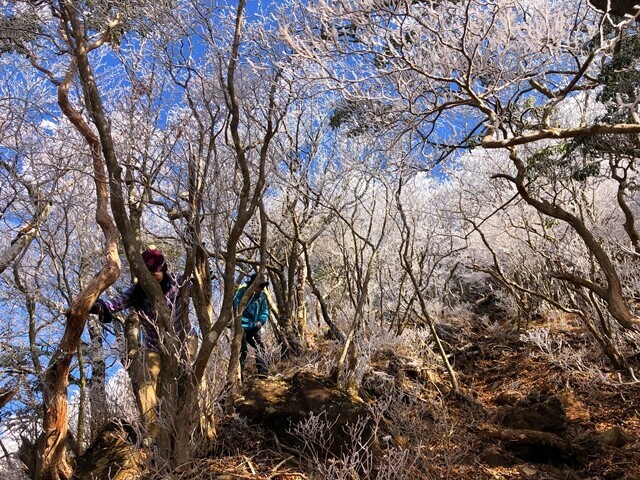 越前岳の山頂から下山の様子