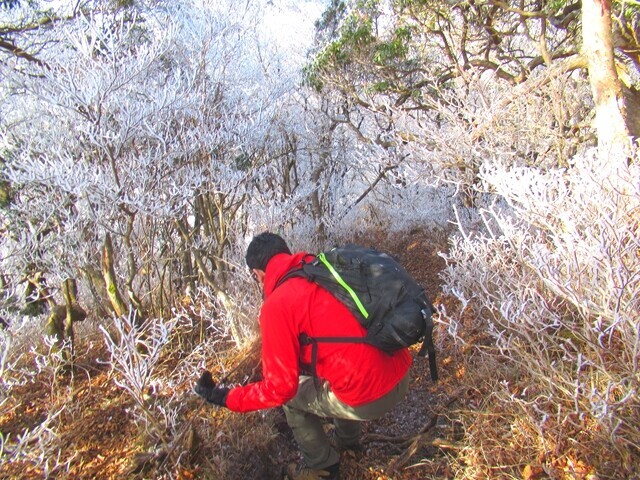 愛鷹山越前岳下山中の男性の様子