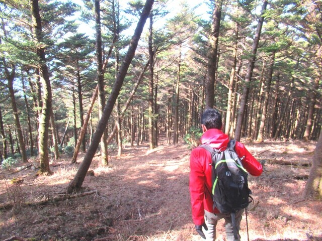 愛鷹山越前岳を下山している登山者の背中