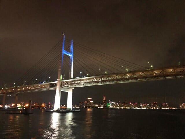 さるびあ丸から横浜の夜景が美しい様子