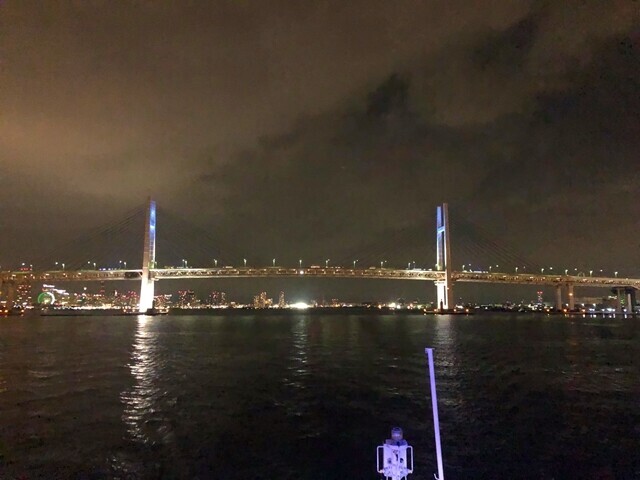 さるびあ丸から横浜港を遠望の様子