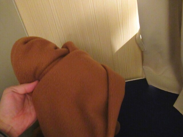 船室にはブランケットが１枚用意されてる