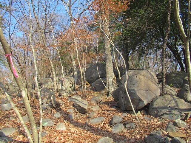 大蔵経寺山の山神宮から先の登山道の様子