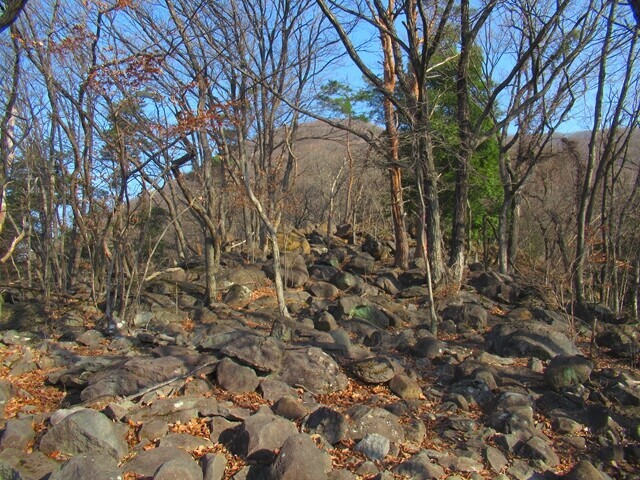 大蔵経寺山の登山道は岩が多い