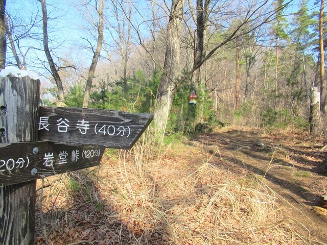 深草観音へのルート上に長谷寺の分岐