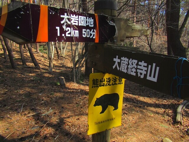 大蔵経寺山周辺のクマの出没