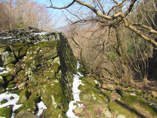 岩堂峠から深草観音方面登山ルートの詳細