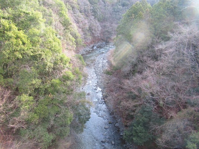 久保吊り橋は高さ３４ｍあるので怖い