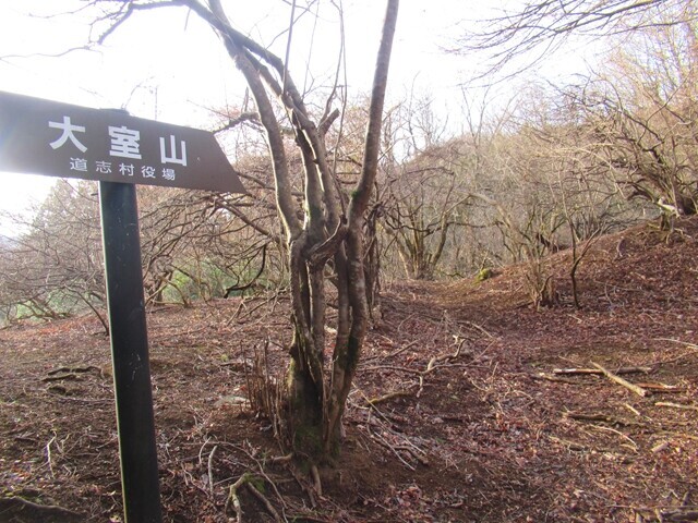 茅ノ尾根を使って大室山へ登山スタートの様子