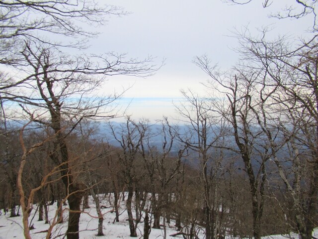 茅ノ尾根からの丹沢山塊景色