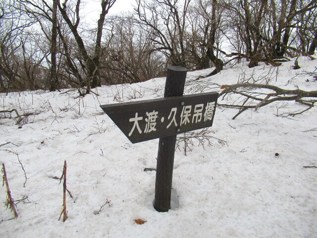 大室山登山道の様子