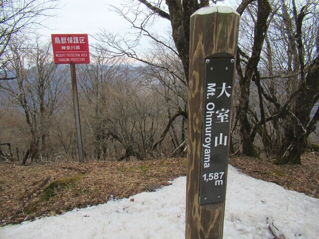 久保吊り橋からやっとの事で大室山の山頂に到着の様子
