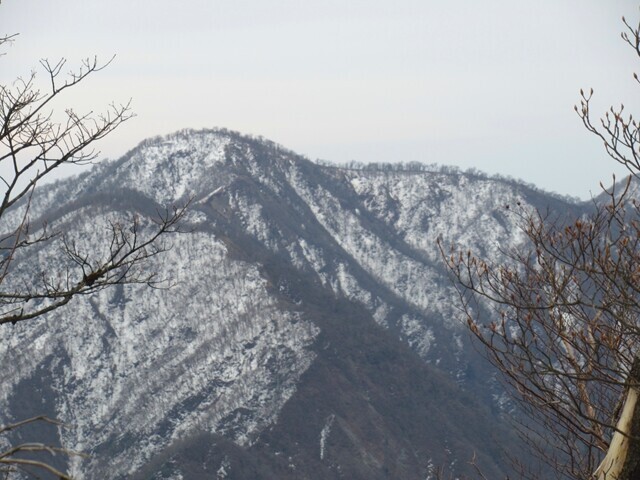 大室山の山頂から加入道山避難小屋方面景色