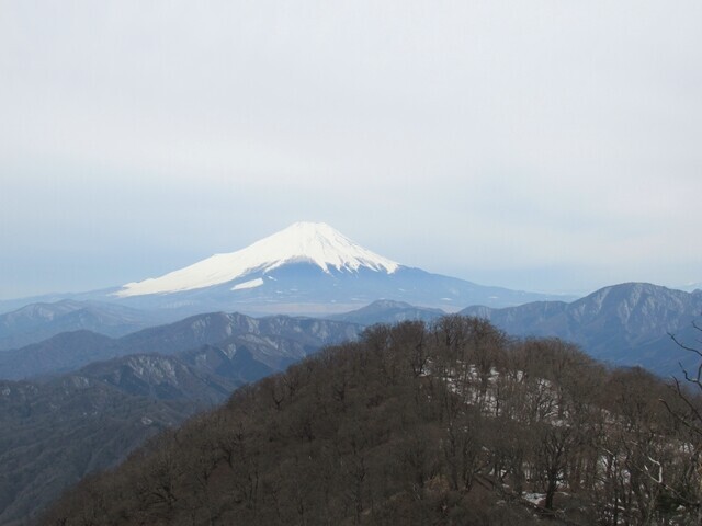 大室山から加入道山避難小屋へのルートは富士山のビュースポット
