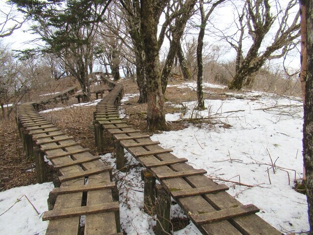 寒々しい木道の様子