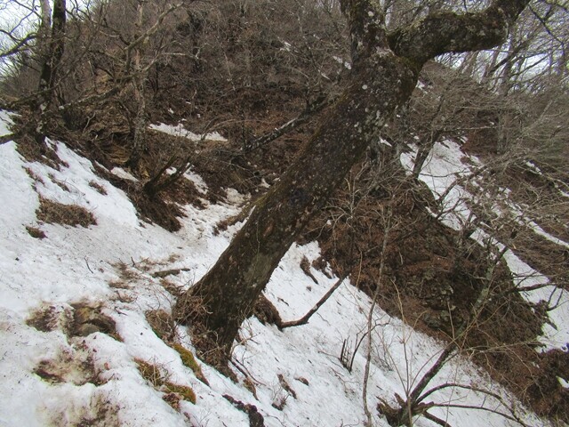 加入道山への登山道の残雪