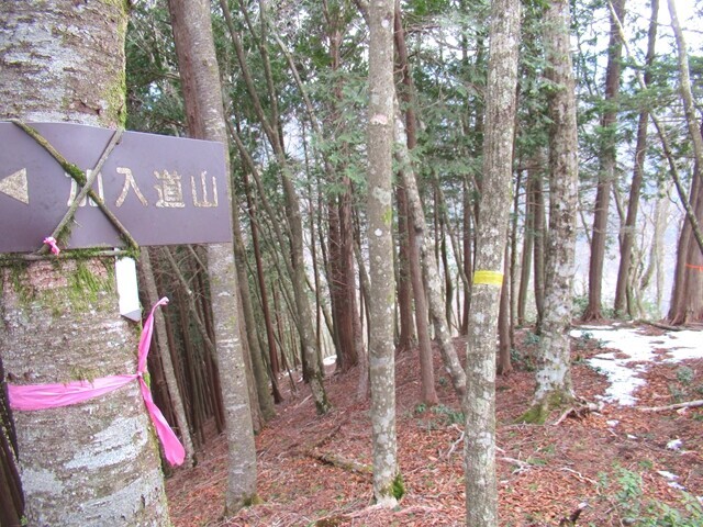 ネイチャーランドオムと椿荘オートキャンプ場方面の分岐地点