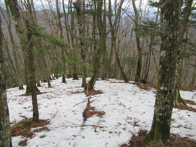 椿荘オートキャンプ場方面の登山ルートの様子