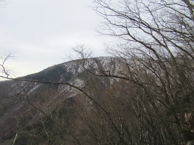 茅ノ尾根と大室山の山頂方面の景色