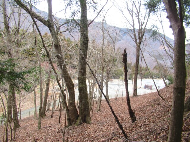 林道と合流地点