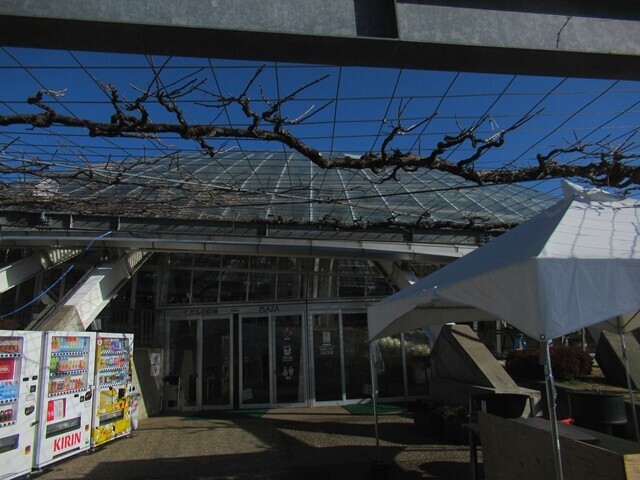 笛吹川フルーツ公園の食堂と自動販売機