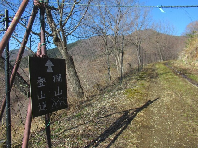 棚山登山口