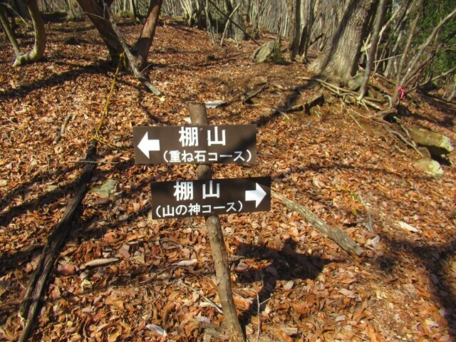 棚山登山道山の神コースと重ね石コース分岐