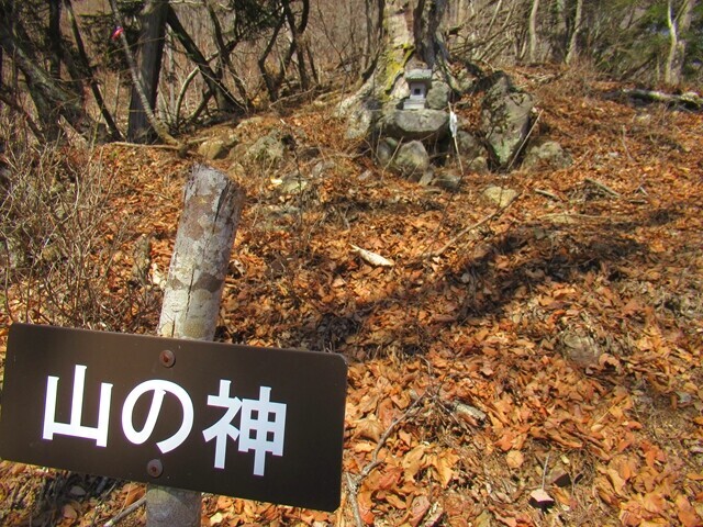 棚山登山道の脇に山の神の祠